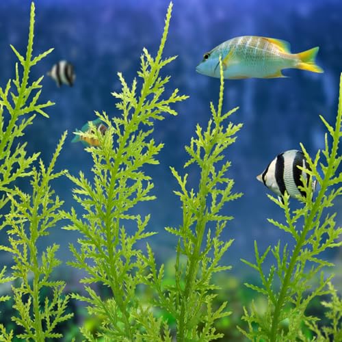 QUOZUO Fish Tank Accessories Large Plants, Green Fish Tank Decorations, Aquarium Decor Plastic Plants 3pcs