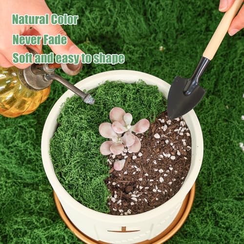 Fake Green Moss for Potted Plants Indoor,14.1oz Artificial Moss for DIY Crafts, Decorative Faux Grass for Planters, Model Making,Table Centerpieces,Walls, Wedding, Terrariums, Fairy Garden Accessories - size: 14.1oz