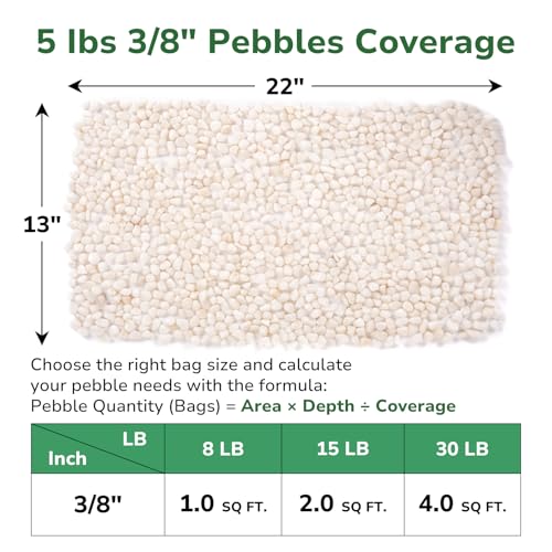 GreatBuddy 5-lb Decorative Rocks for Indoor Plants, 3/8" White Pebbles, Small Rocks for Potted Plants, Succulent, Vases, Aquariums, Fish Tanks, Garden Landscaping, Natural Polished - color: White-5lb, size: Medium-3/8 Inch