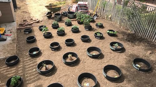 3-Pack 16-inch Planting Rings – Deep Watering Basin & Garden Edging. - size: 16" - 3 pack