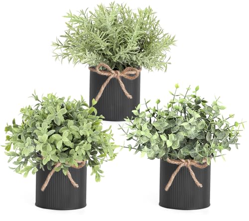 Mkono 3 Pack Small Fake Plants in Black Galvanized Metal Pots Artificial Eucalyptus Plants for Christmas Decorations Shelf Desk Home Farmhouse Room Coffee Table Bathroom Decor - color: Black, size: 3 inch
