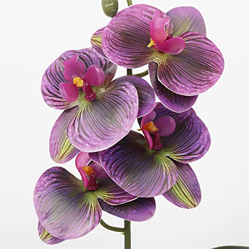 Fake Orchids Artificial Flowers, Reptile Terrarium Decor Plants, Bearded Dragon Tank Accessories fit Crested Gecko Leopard Lizard Chameleon Ball Python Snake Frog (Radiant) - color: Radiant