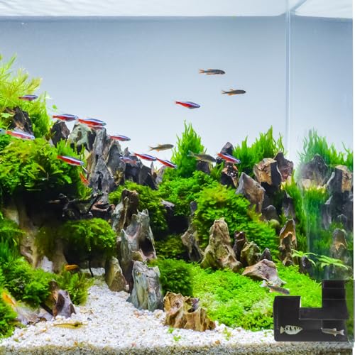 Nuanchu 2 Pcs 5.91" Aquarium Underground Tunnel Large ABS Plastic Fish Shrimp Hideout for Aquariums Black Shrimp Cave Fish Tank Tunnel for Fish Tank Accessories