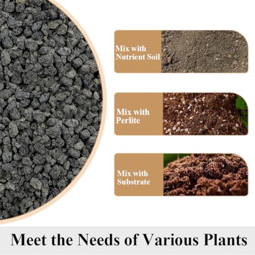 YISZM Black Horticultural Lava Rocks for Plants, 5lb Succulents Cactus Bonsai Soil Volcanic Rocks for Aquarium Outdoor Decorative Stones for Craft Projects, Vase Fillers - color: Black Lava Rock, size: 5 Pounds