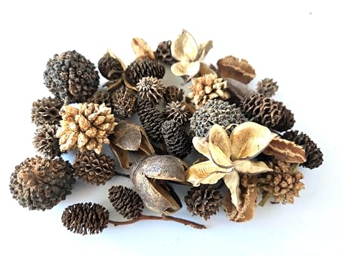 Natural Botanical Seed Pods, 37-Piece Premium Small Seed Pod Mixed Variety Pack, Bioactive Botanicals, Nano Terrarium Decor, Isopod Food and Hides, Aquarium Botanicals