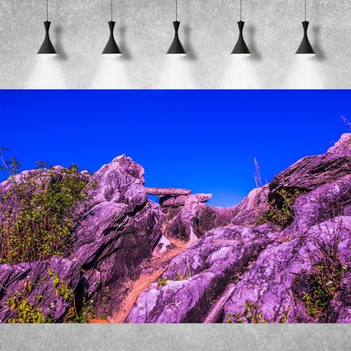 Reptile Tank Background Blue Sky Rock Mountain Gobi Scenery Terrarium Background Eroded Stone Mountains Jungle Plants Aquarium Background Desert Blue Sky Mountain Fish Tank Background Decor 24x12in - color: Rock Blue, size: 24(W)x12(H)in