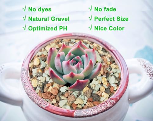 Boniosz 5lb Bonsai Succulent and Cactus Soil 1/8-1/4 inch Gritty Mix Rocks Gravel for Terrarium Top Dressing Decorative Pebbles Potting Soil Amendment for Pots Indoor Plants, Fast Drainage, Balance PH - color: Mix Colors, size: 5lb
