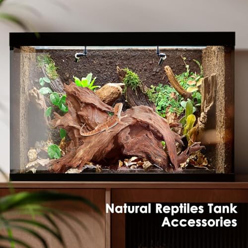 Jorewood Natural Large Aquarium Driftwood for Fish Tanks & Reptile Terrariums – 100% Safe Fish Tank Decorations, 2-Piece 10-14 Inch Unique Twisted Branches Low Tannin, Easy to Sink - size: Mopani Driftwood 10 to 14 Inch (Pack of 2)