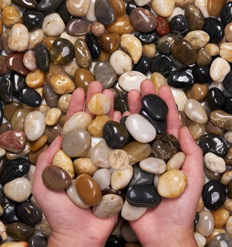 NUPICK 10 Pound River Rocks, 0.8-1.3 Inches Polished Pebbles for Plants, Fish Tank, Clear Vase and More, Natural Mixed Color Stones - color: Mixed, size: 0.8-1.3"-10lb
