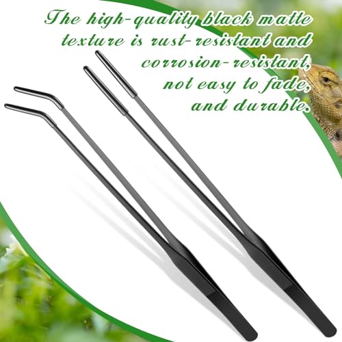 Lasnten 2 Pcs Extra Long Stainless Steel Reptile Feeding Tongs with Rubber Tip 15 Inch Bearded Dragon Aquarium Straight and Curved Long Tweezer Terrarium Feeder Tool for Tank(Black) - color: Black, size: 15 Inch