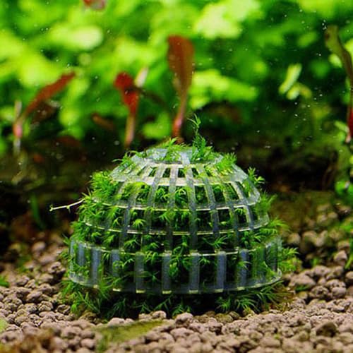 WishLotus 2Pcs Transparent Plastic Aquarium Moss Ball Holder, Moss Accessory Landscape Ornaments for Fish Tank