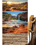 4 Pcs 48 x 18 Inch Reptile Tank Background Reptile Tank Accessories Polyester Terrarium Background Decor for Leopard Gecko Turtle Bearded Dragon(Canyon Waterfall, Bark, Cactus, Gobi Desert)