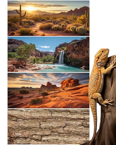 4 Pcs 48 x 18 Inch Reptile Tank Background Reptile Tank Accessories Polyester Terrarium Background Decor for Leopard Gecko Turtle Bearded Dragon(Canyon Waterfall, Bark, Cactus, Gobi Desert)