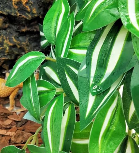 Reptile Plants for Terrarium Decor, Amphibian Habitat Decor, Snake Tank Accessories, Artificial Hanging Plants with Suction Cup-2 Packs (Zebrina Green) - color: Zebrina Green
