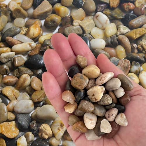 Small Rocks for Plants，3/8" Small Pebbles，1lbs Small River Rocks Decorative Pea Gravel，Pebbles for Indoor Plants, Vases, Bamboo, Succulent, Terrarium, Crafts, Cactus - color: Natural Mixed Color, size: 1 LB