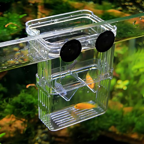 Petzilla in-Tank Aquarium Breeder Box for Fish Tank, Breeding Incubator for Small Fish Hatchery, Acrylic Divider for Shrimp Clownfish Aggressive Injured Fish (Small) - size: Small