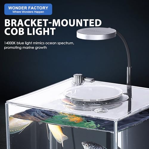 Nano Desktop Betta Aquarium 2.7 Gallon Glass Fish Tank Set, Hidden Bottom Filtration System Self Cleaning Filter Light Gravel Plant Cleaning Tool, for Small Space Easy Setup Space-Saving Design - size: 2.7 gallon