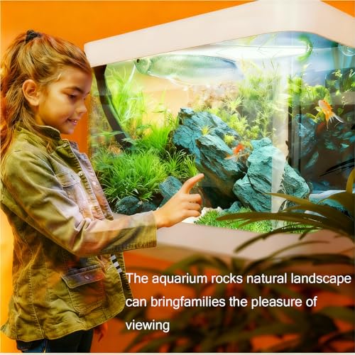 5LBS Aquarium Rocks Seiryu Stone Natural Hardscape Stone for DIY Aquariums, Fish Tanks, Bonsai, Paludarium Amphibian Enclosures (5Lb (3-8 inch), Seiryu Stone) - size: 5Lb (3-8 inch)