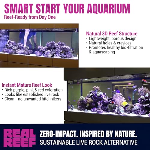 Shelf Rock, Mini 6–10" (15-Pack, 20 lb Box) - Artificial Live Rock for Saltwater Aquariums, Reef-Safe Nano Shelf Pieces for Coral Platforms & Aquascapes