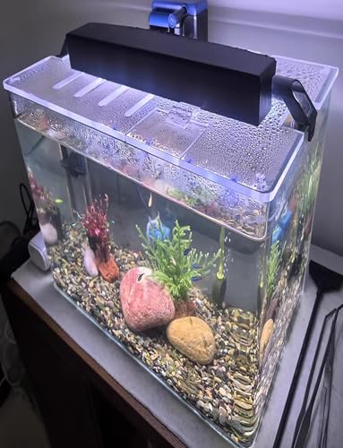 Acrylic Aquarium Lid - Escape Prevention Cover with Feeding Opening for Reptiles & Turtles - Durable, Easy Access Habitat Protector (50x50CM/19.7x19.7in) - size: 50x50cm/19.7x19.7in