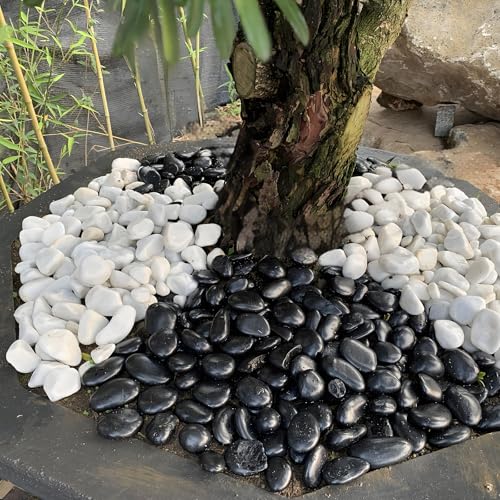FANTIAN 20 lbs Large Black River Rocks for Garden, 2-3 inch Polished Pebbles for Plants. Decorative Stones for Planters Landscaping Vase Aquarium and Fish Tank - size: 2-3 inch, style: 20.0 Pounds