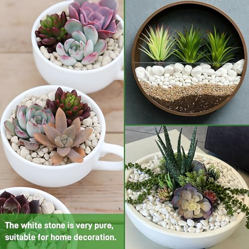 Mulctun 2Lb White Rocks for Plants, 1/4"-3/4" White Pebbles, Decorative Stones for Vases, Small Aquarium Gravel for Fish Tank Garden Rocks for Potted Plants & Home Decor - size: 2 LB