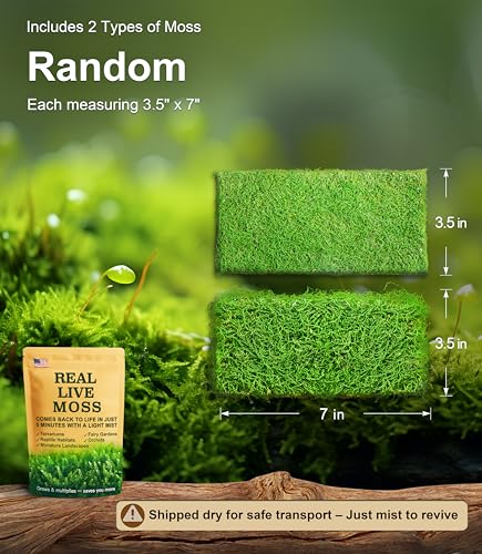 Live Moss Duo Pack 2 Types of Real Live Sheet/Sphagnum Moss for Terrariums, Terrarium Mosses Landscaping, Reptile Tank Accessories, Snake & Gecko Humidity Substrate Mosses for Crafts & Plant Décor