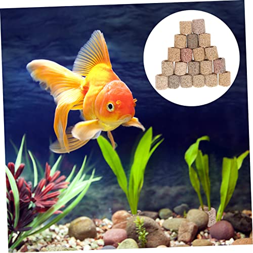 POPETPOP 20pcs Water Plant Fixed Rings for Fish Tank Pottery Anchors for Aquatic Plants Random for Aquarium Landscape Decoration