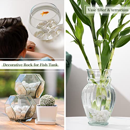 5lbs White Natural River Rocks, Polished Pebbles for Plants Garden, 1-2 inch Decorative White Stones, Ideal for Fish Tank, Vases, Crafting, Home Decor and Garden Landscaping Rocks,White - size: 5 Pounds, style: Snow White