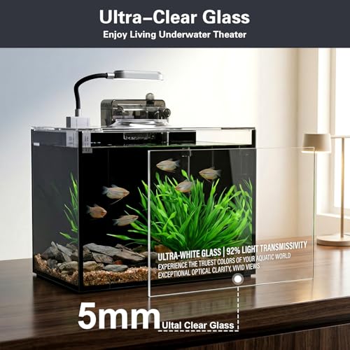 2 Gallon Small Aquarium Set Glass Fish Tank,Desktop Small Aquarium Kit for Beginners and Children to Keep Betta Fish, Goldfish, Shrimp, and Aquatic Plants (Black, 2 Gallon (Complete Kit) ﻿) - size: 2 Gallon (Complete Kit) ﻿