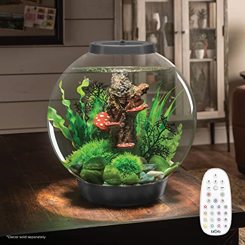 biOrb Classic 30 Acrylic 8-Gallon Aquarium with Multi-Color Remote-Controlled LED Lights Modern Tank for Tabletop Display, Silver - color: Silver, size: 8 Gallon, style: MCR Lighting