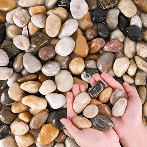 River Rocks for Plants 11.25 LB Small Decorative Pebbles 1"-1.5" Polished Stones Smooth Aquarium Gravel for Fish Tank Vases Indoor Planters Outdoor Landscaping Garden (180oz) - size: 11.25 LB (180oz), style: Natural