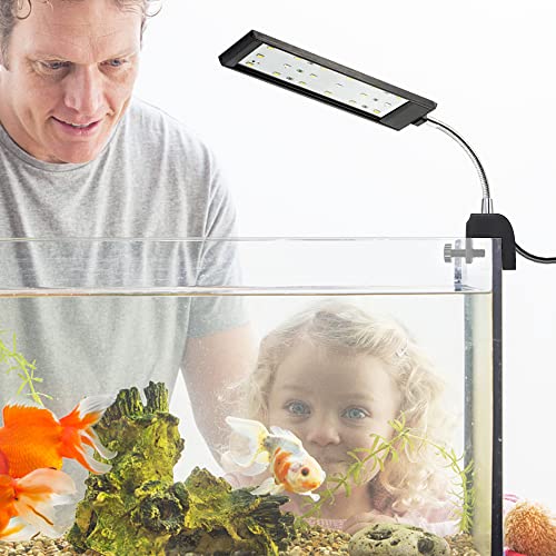 DaToo Aquarium Light Small LED Clip Light for Fish Tank 7W, 1 Yr Warranty - size: 7W (Without Timer & Dimmer)