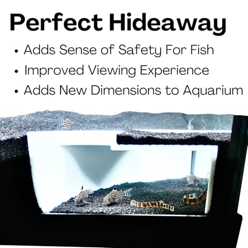 Aquarium Underground Two Hole Corner Cave | Viewing Fish & Shrimp Tunnel | Fish Tank Undergravel Hide Decor Decoration Hideout Perfect For Corydora Catfish, Kuhli Loach, Pleco, Betta Fish (White) - color: White