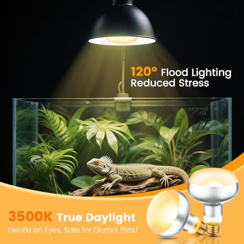 REPTITRIP Dual Reptile Lamp Fixture with 100W Daytime Heat & 100W Nighttime Infrared Heat Bulbs, 2 Independent Switches, Reptile Heat Lamp Combo Pack - No UVB - size: ST2