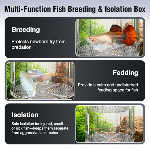 Floating Acrylic Breeder Box for Fish Tank - Aquarium Isolation Separator Hatchery Incubator for Guppy, Betta, Clownfish, Coral, Baby & Injured Fish - size: Large
