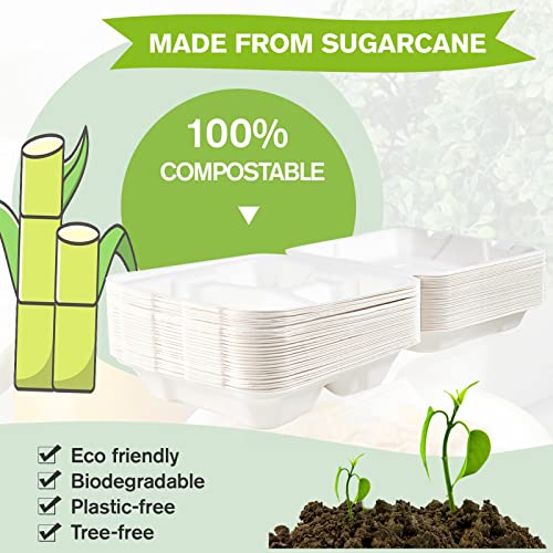 ECOLipak 50 Pack Clamshell Take Out Food Containers, 100% Compostable Disposable To Go Containers, 8X8 inch 3-Compartment Heavy-Duty To Go Boxes - color: 8*8 in, 3-Compartment,50Pack