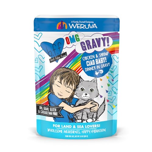 Weruva B.F.F. OMG - Best Feline Friend Oh My Gravy!, Ciao Baby! with Chicken & Shrimp in Gravy Cat Food, 2.8oz Pouch (Pack of 12) - size: 2.8 Ounce (Pack of 12)
