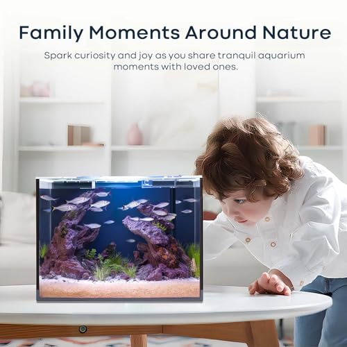 3 Gallon Glass Fish Tank Cube, Small Aquarium Fish Bowl for Betta Goldfish Snails Shrimp Aquatic Planting, Easy to Maintain Ultra Clear Rimless Design for Desktop Small Spaces