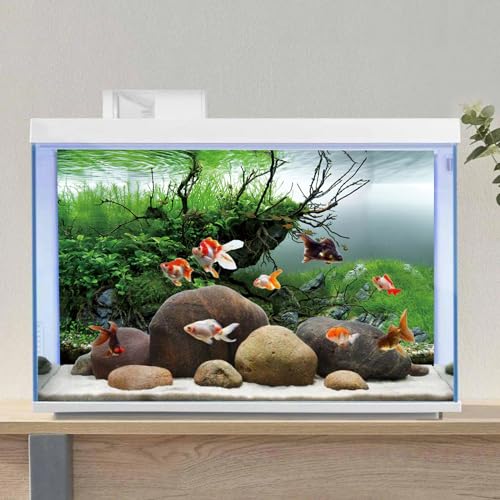 AWERT 72x16 inches Branches Fish Tank Background Seaweed Aquarium Background River Bed & Lake Aquarium Background Vinyl Background - size: 72x16in/180x40cm