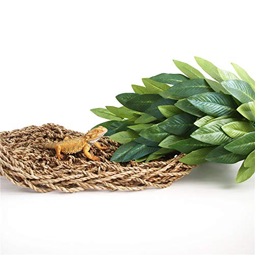 SLSON Reptile Plants Hanging Silk Terrarium Plant with Suction Cup for Bearded Dragons,Lizards,Geckos,Snake Pets and Hermit Crab Tank Habitat Decorations,Small Size,12 inches Green