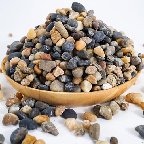 River Rocks Stones Natural Decorative Mixed Color Pebbles Fish Tank Gravel Small Garden Rocks Soil Cover for Aquariums, Landscaping, Vase Fillers, Succulent, Tillandsia, Cactus, Terrarium Plants 2.2lb - color: Pebbles, size: 2.2 lb