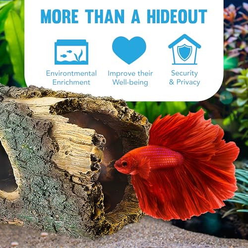 JOR Betta Log Hideout Décor for Aquariums – Unique Fish Tank Shelter Adds Depth and Visual Appeal, Reduces Aggression Among Fish, Enhances Aquatic Habitat and Enrichment for Community Tanks