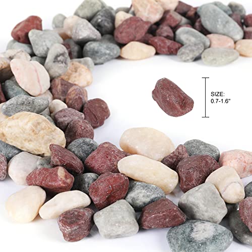 11lbs Natural River Rocks, Polished Pebbles for Plants Garden, 1-2 inch Decorative Countryside Stones, Ideal for Fish Tank, Vases, Crafting, Garden Landscaping Rocks,Countryside - size: 11 Pounds, style: Idyllic