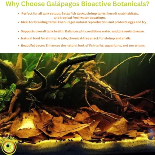 Galapagos (05357) Natural Bioactive Botanicals – 9 Casuarina Cones, 5 Catappa Leaves, and 2 Almond Bark - Functional Aquarium Decor for Betta Fish, Hermit Crab, Shrimp Tanks & Blackwater Aquariums