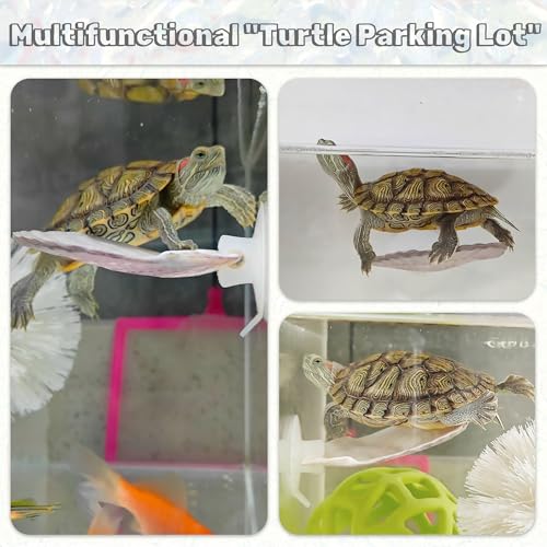 3PCS Betta Hammock Shells, Natural Small Fish Tank Decorations, Betta Fish Tank Accessories, Aquarium Decorations, Aquarium Hideout Habitat for Sleeping Resting Hiding Playing (Purple) - color: Purple