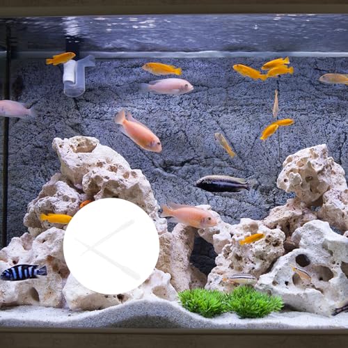 Beavorty 10pcs Marine Fish Feeders Coral Feeding Tubes 3ml Plastic Syringe Pipettes for Aquarium Shrimp Breeding and Reef Tank Pet Supplies
