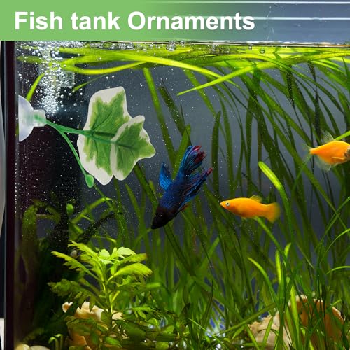 Betta Fish Leaf, Natural Habitat Simulation for Betta Spawnings Grounds, Betta Spawnings Leaves, Resting Bed, Large Small Leaves, White Green