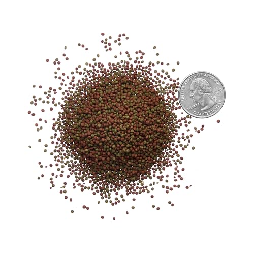Plecoceramics Betta Fish Pellets Extreme Color, Complete Nutrition Plus Color Boost, Enhancing Floating Food Betta Fish (3.5 oz / 100 g)