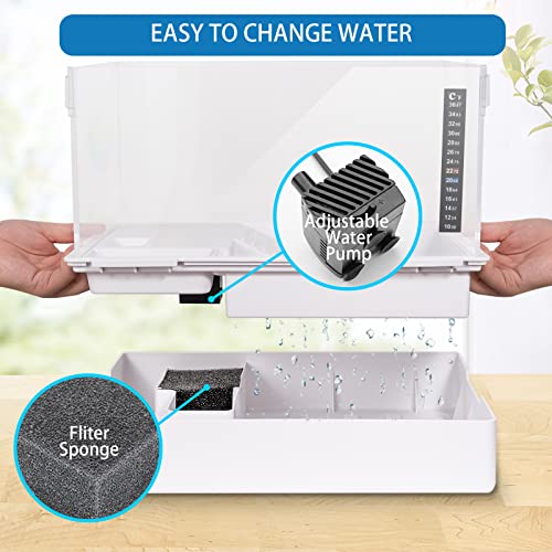 Scratch-Resistant Acrylic Turtle Tank (23×13.5×10 Inch) with Water Filter - Durable Reptile Habitat for Aquatic/Terrestrial Pets, Baby Turtles & Fish | Anti-Scratch Clear Terrarium Aquarium Combo - size: Large(Acrylic)